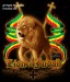 lion-of-judah-t-shirt.jpg